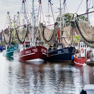 Bunte Krabbenkutter liegen m Fischerhafen von Greetsiel (Niedersachsen).