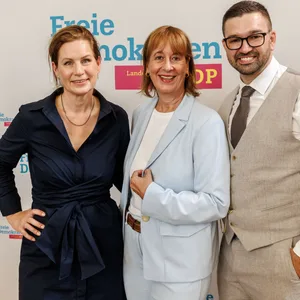 FDP Hamburg