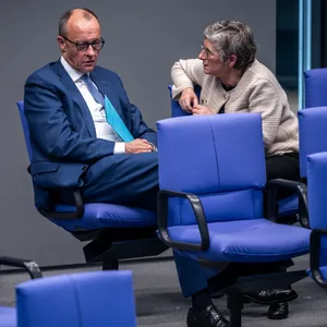 Friedrich Merz (CDU) und Britta Haßelmann (Grüne) im Bundestag (Archivbild)