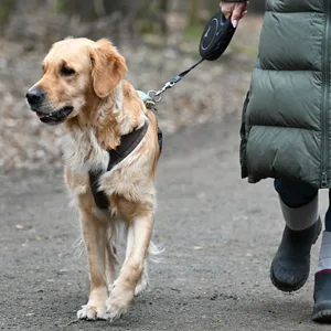 Frau geht mit Hund spazieren