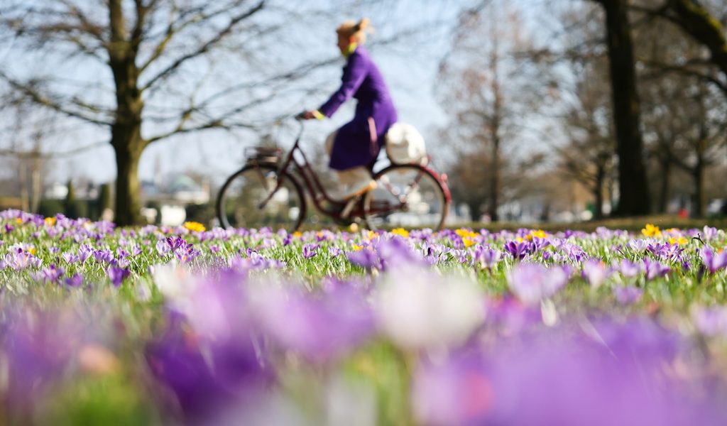 wetter-in-hamburg-erst-traumwochenende-dann-berraschung