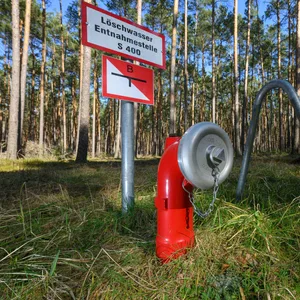 Eine Löschwasser-Entnahmestelle in einem Kiefernwald