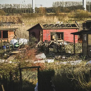 Räumung der Kleingarten-Parzellen und Abriss der Lauben am Curlacker Neuer Deich für den Körber-Neubau in Bergedorf