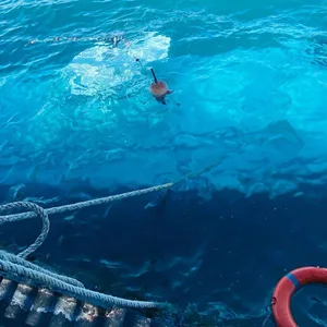 Ein U-Boot, das Touristen im Roten Meer die Unterwasserwelt zeigte, sank vor der Resort-Stadt Hurghada.
