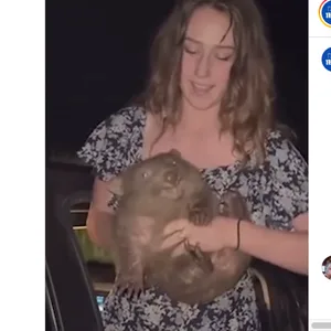 Das Video wurde von mehreren Medien auf Instagram geteilt.