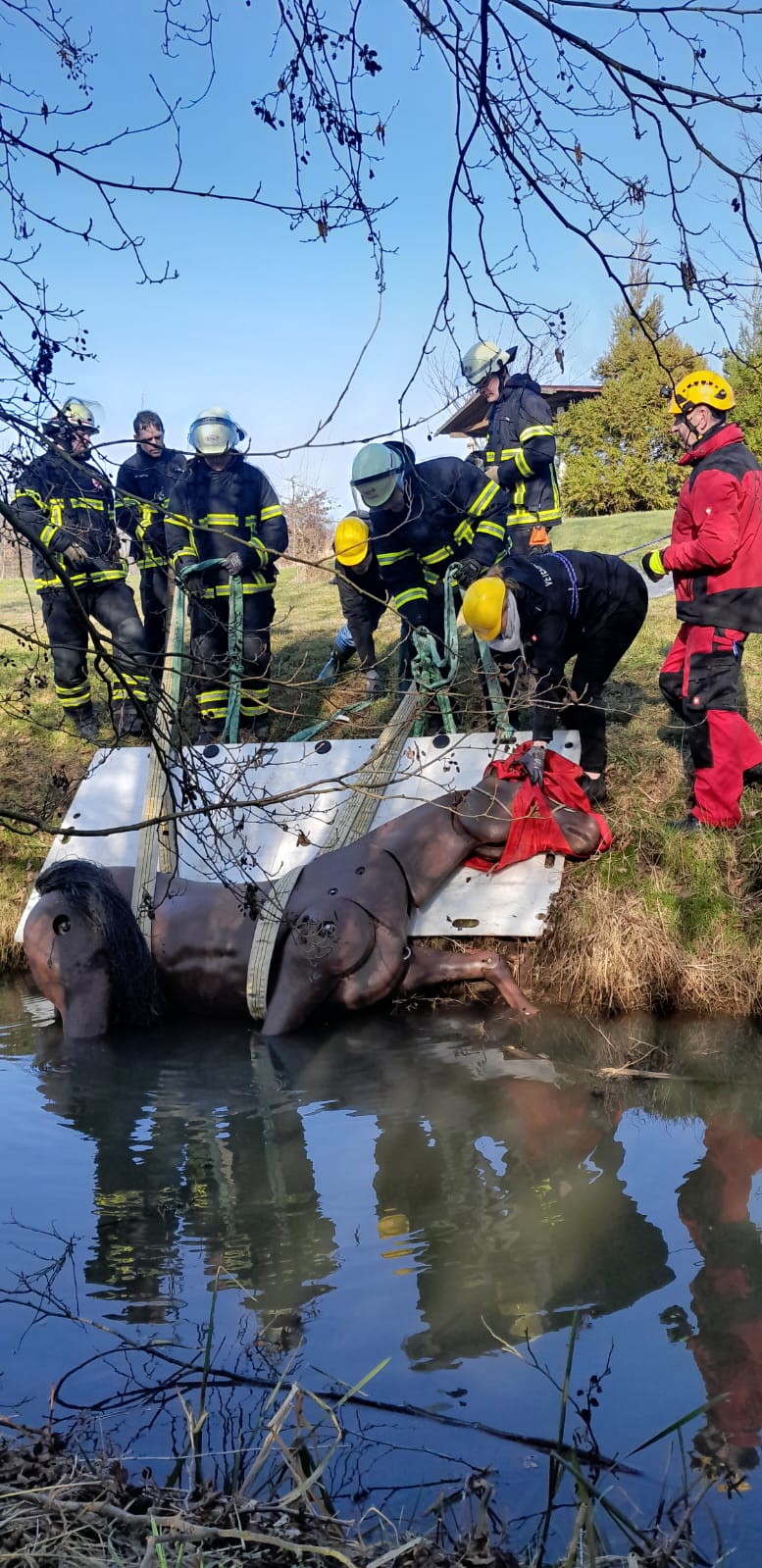 Einsatzkräfte zeigen einen Pferde-Dummy aus einem Wassergraben.