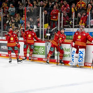 Enttäuschte Spieler der Düsseldorfer EG nach dem Spiel gegen Grizzlys Wolfsburg
