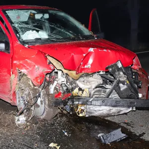 Der Fahrer des Fiat kam schwer verletzt in eine Klinik.