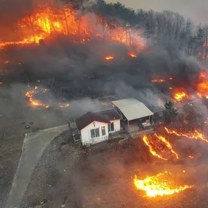Durch starke Winde angefacht: Häuser brennen in einem Dorf im Südosten Südkoreas, nachdem sie von einem Waldbrand verschlungen wurden.