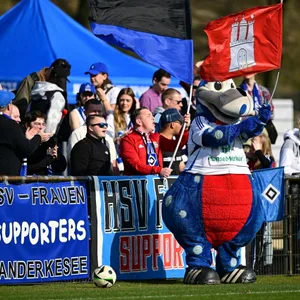 HSV-Fans am Spielfeldrand