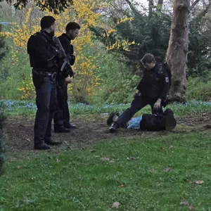 Die Polizei überwältig nach der Massenschlägerei in Harburg einen Verdächtigen.