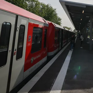 Mann will jungen Hund an Großstadtgeräusche gewöhnen und löst Sperrung einer S-Bahnstrecke in Hamburg aus