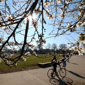 Kalendarischer Frühlingsanfang - Hamburg