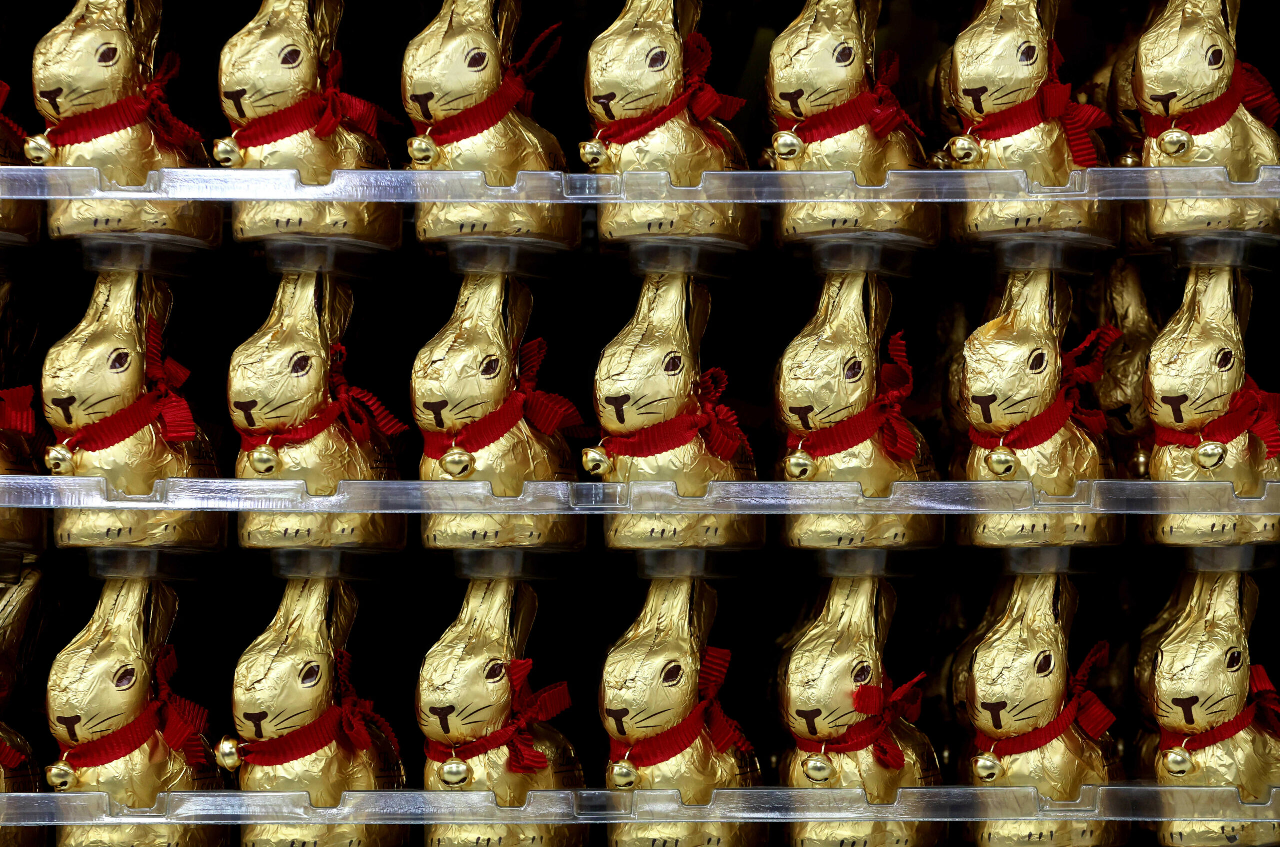 Schoko-Osterhasen stehen in einem Regal