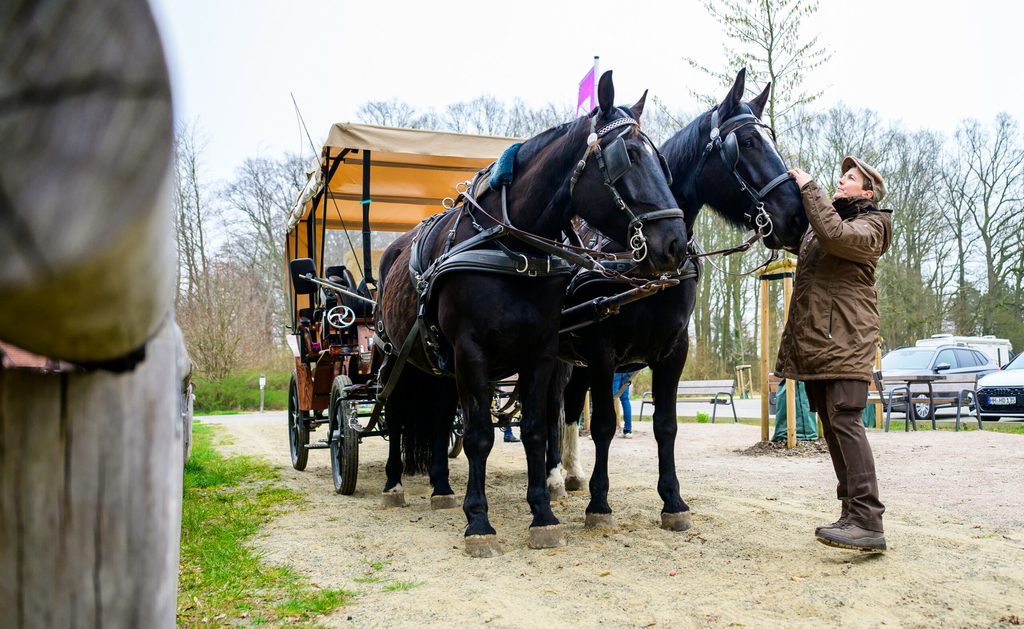 Britta Alpers feierte bereits ihr 30-jähriges Jubiläum als Kutscherin in der Lüneburger Heide.
