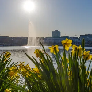Sonniger Frühlingstag an der Hamburger Binnenalster.