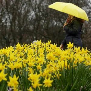 Frühlingsregen in Planten und Blomen (Archivbild).