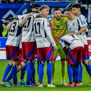 Mannschaftskreis der HSV-Profis