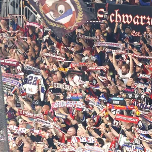 Fans der Eisbären Berlin