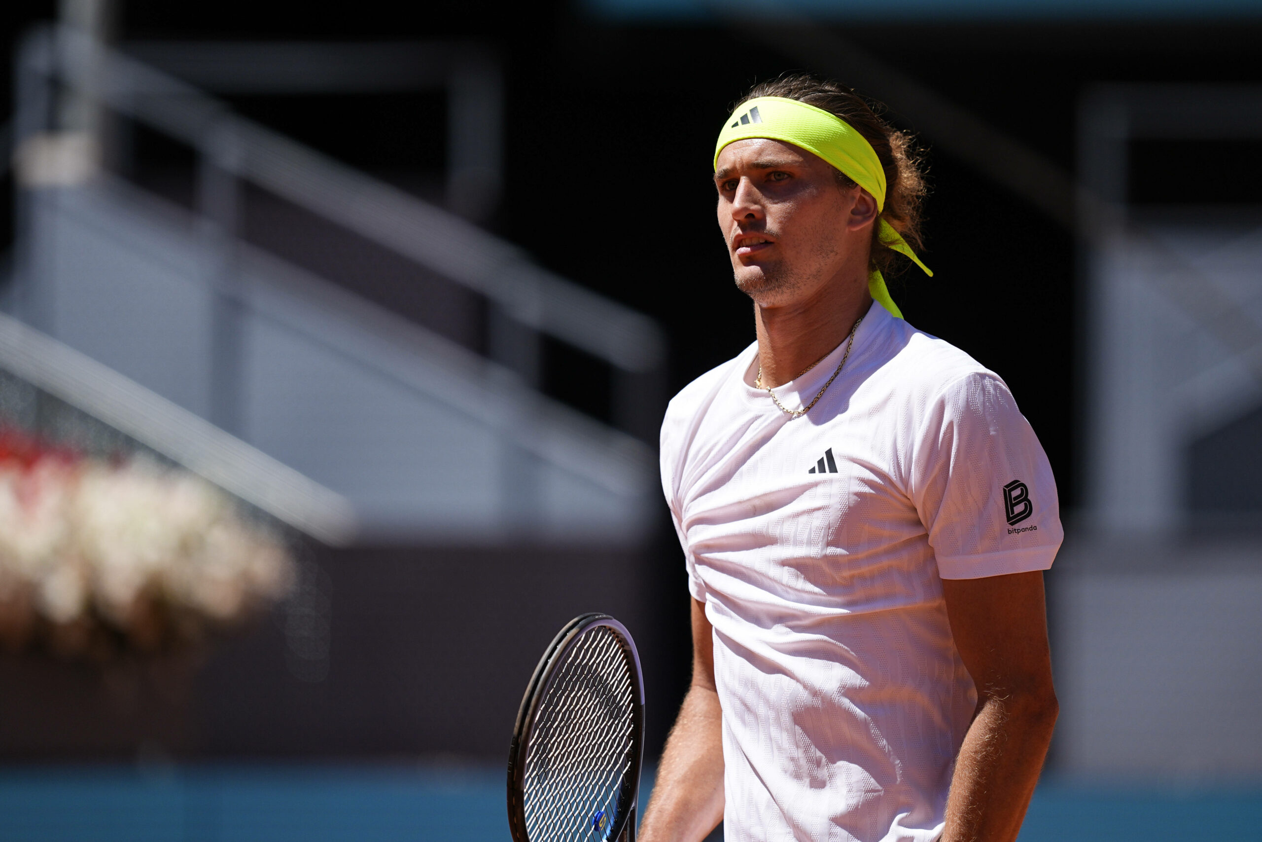 Alexander Zverev konzentriert
