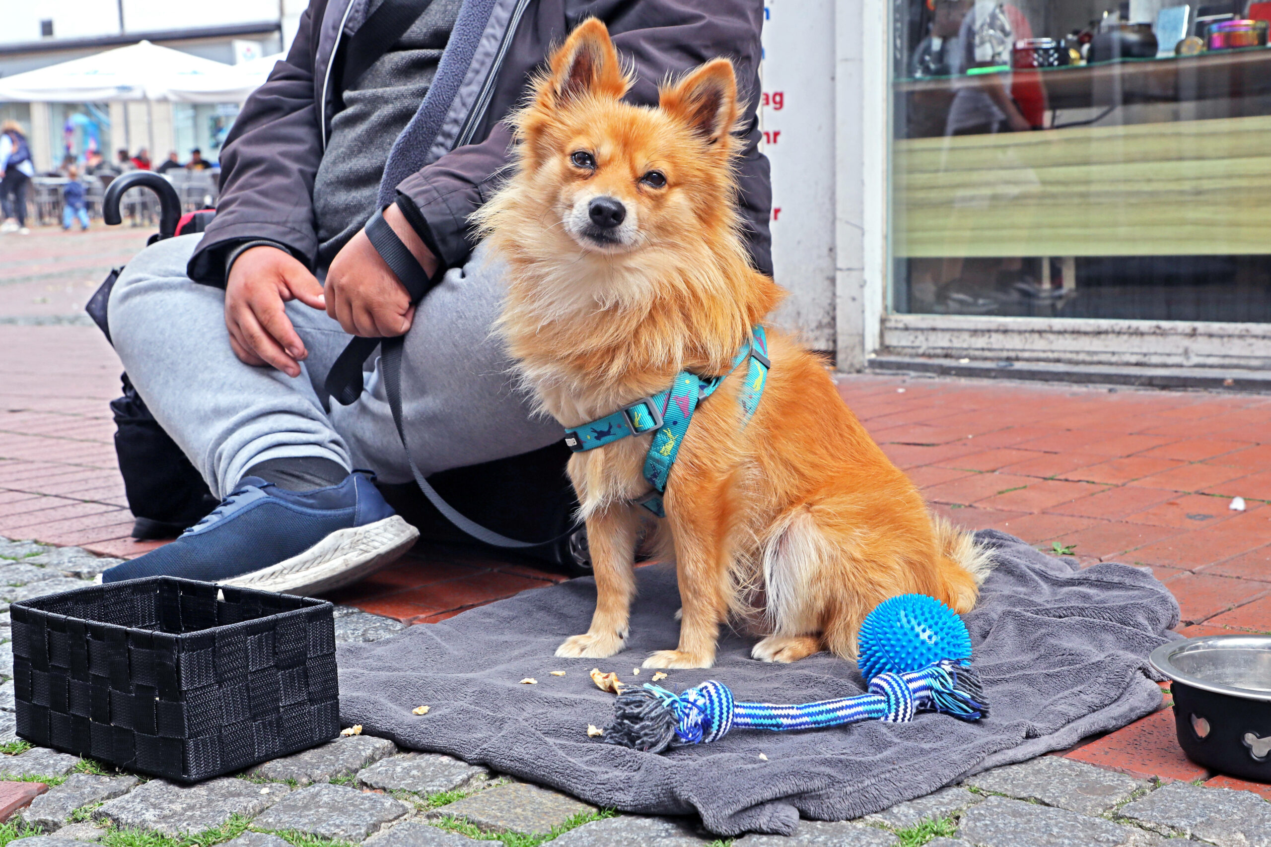 Ein Obdachloser mit Hund.