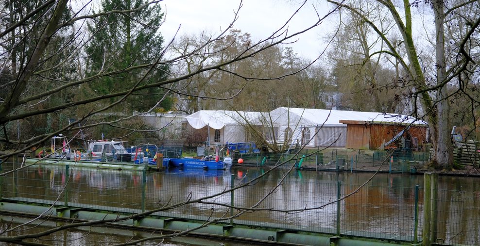 So sieht das Schwanenquartier am Eppendorfer Mühlenteich heute noch aus.