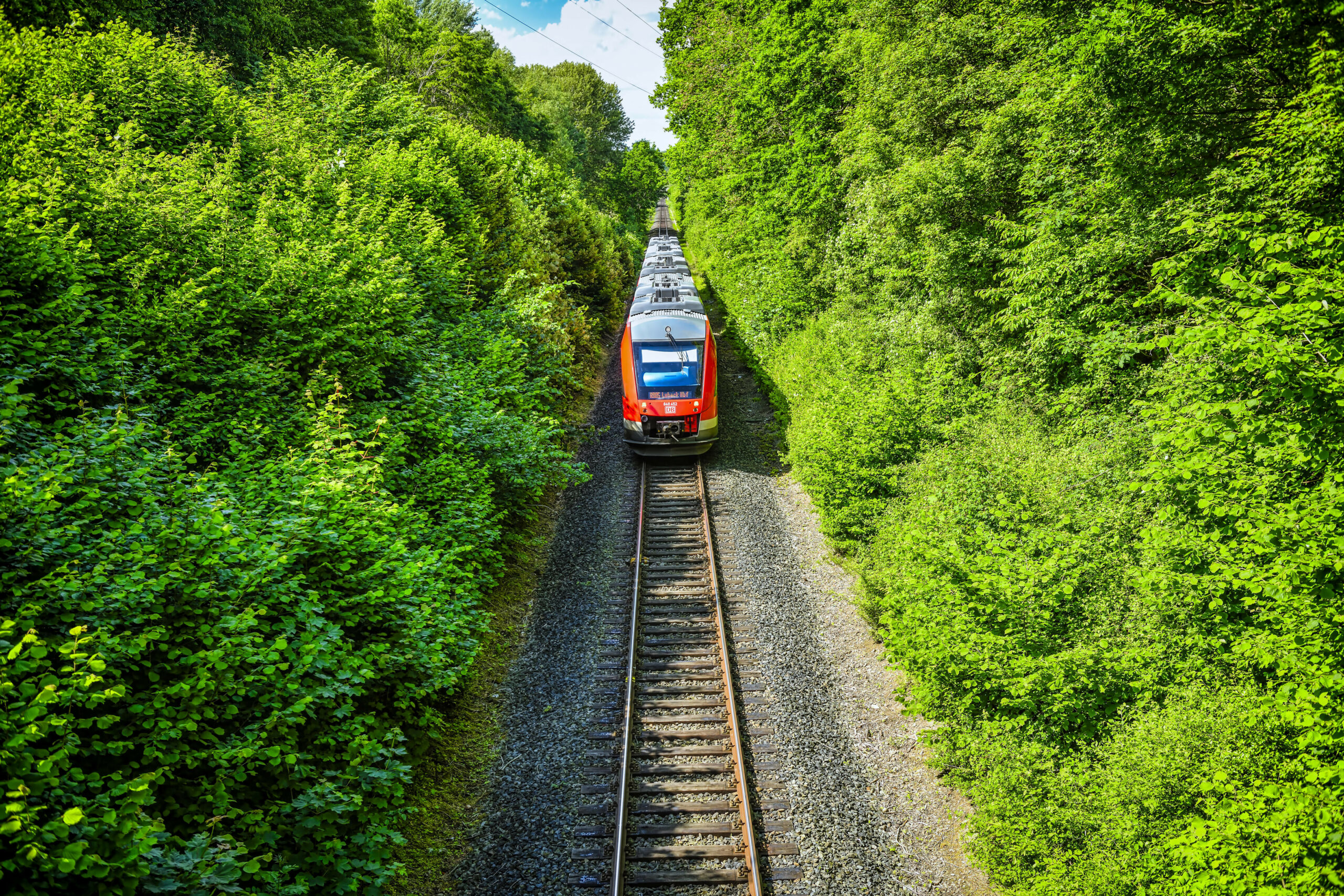 Eine Regionalbahn in der Nähe von Scharbeutz