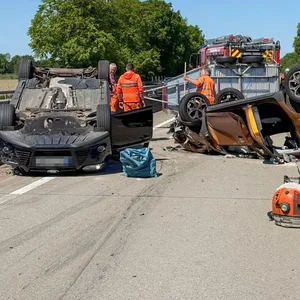 Schwerer Unfall auf der A7 im Landkreis Harburg – vier Personen und ein Pferd verletzt