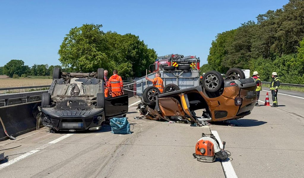 A7-Pferd-bei-Crash-mit-f-nf-Fahrzeugen-schwer-verletzt