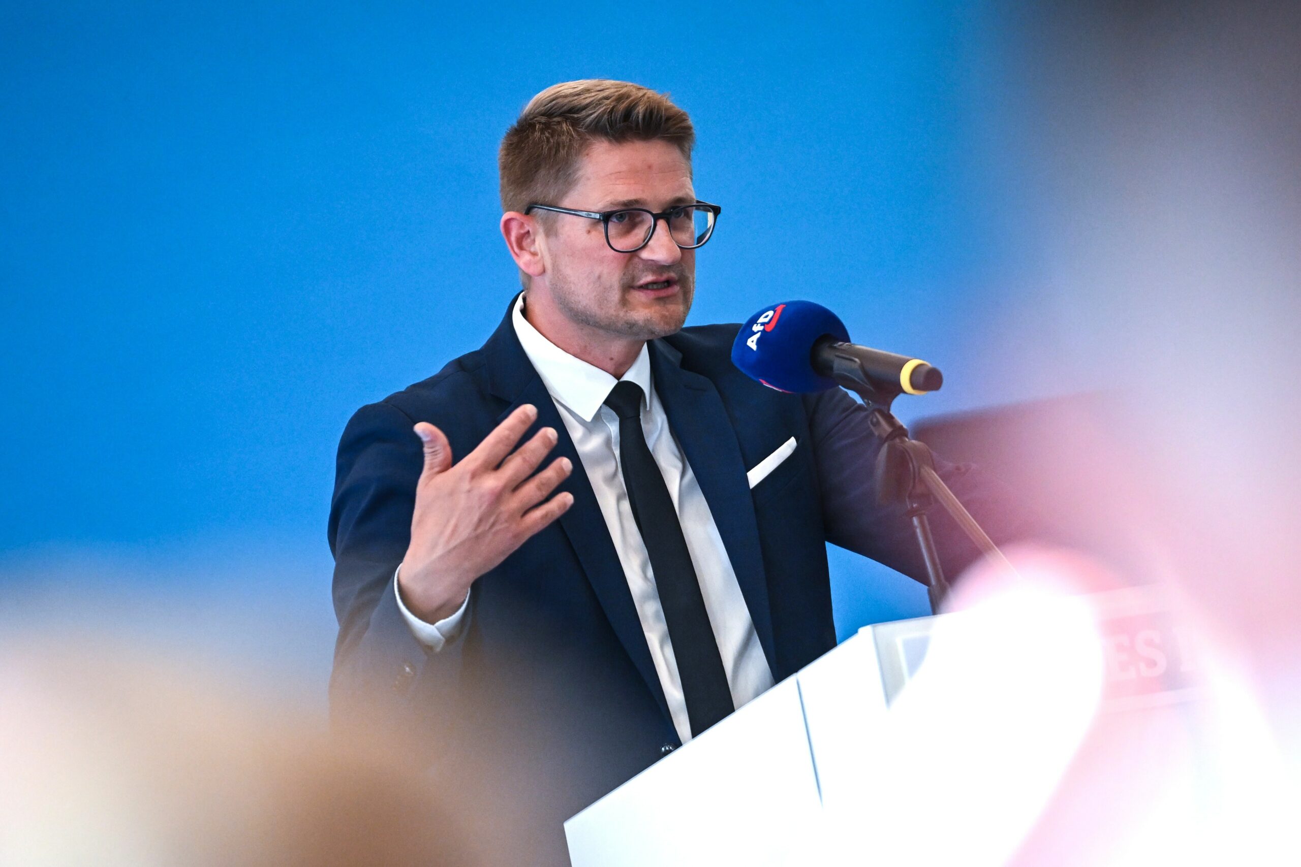 René Springer, Vorsitzender der AfD Brandenburg