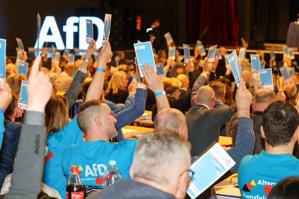 Delegierte stimmen beim Landesparteitag der AfD Sachsen-Anhalt ab (Archivbild).