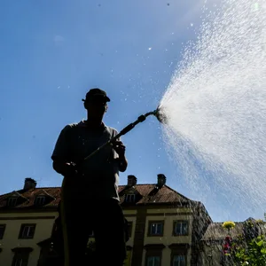 Eine Person bewässert Pflanzen