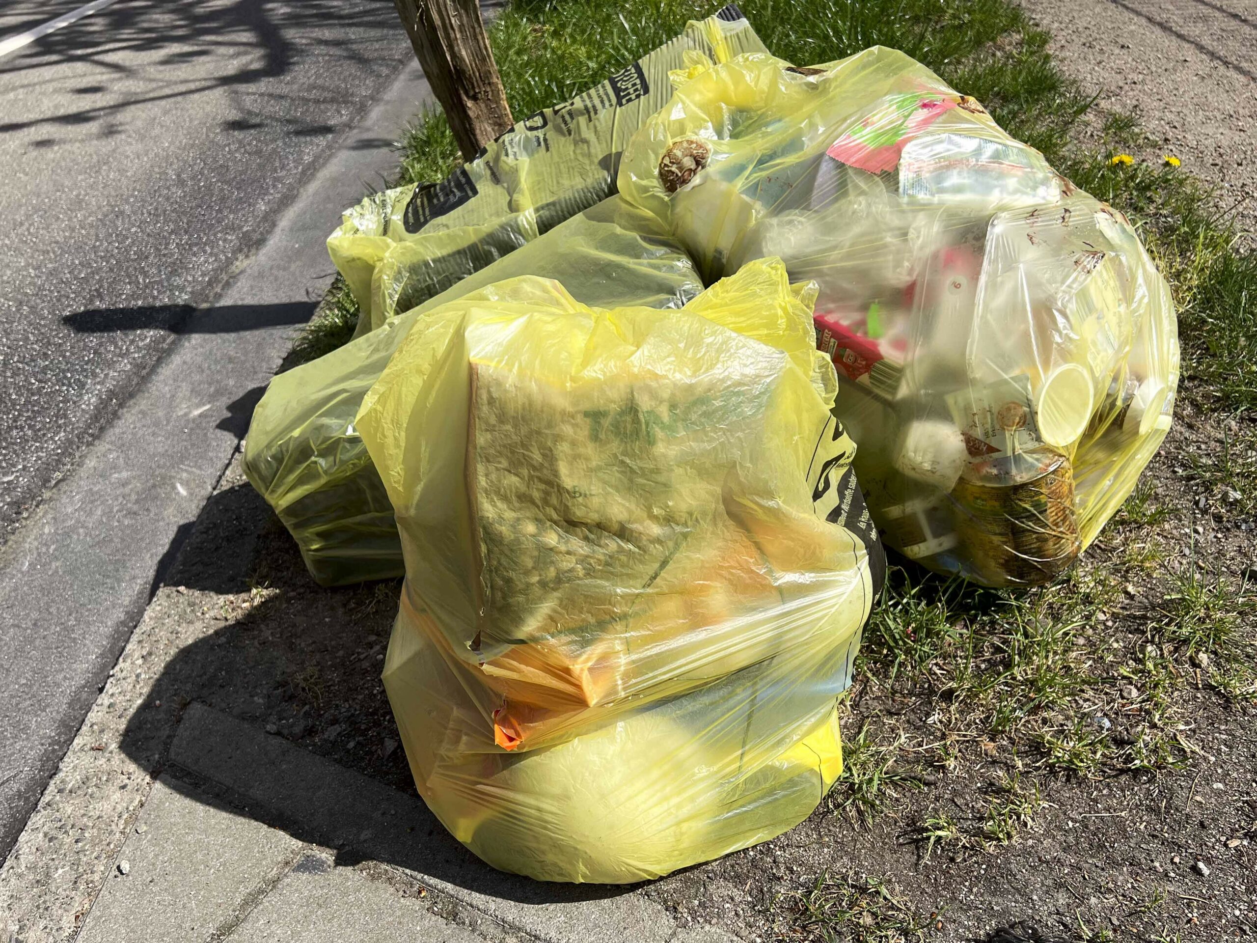 Gelbe Müllsäcke liegen am Straßenrand zur Abholung bereit. (Symbolbild)