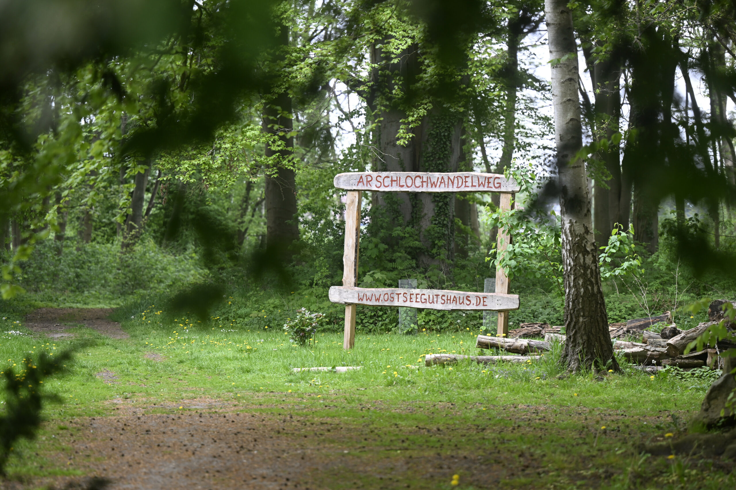 Der „Arschlochwandelweg“ in Klein Strömkendorf ist der wohl kurioseste Wanderweg Deutschlands.