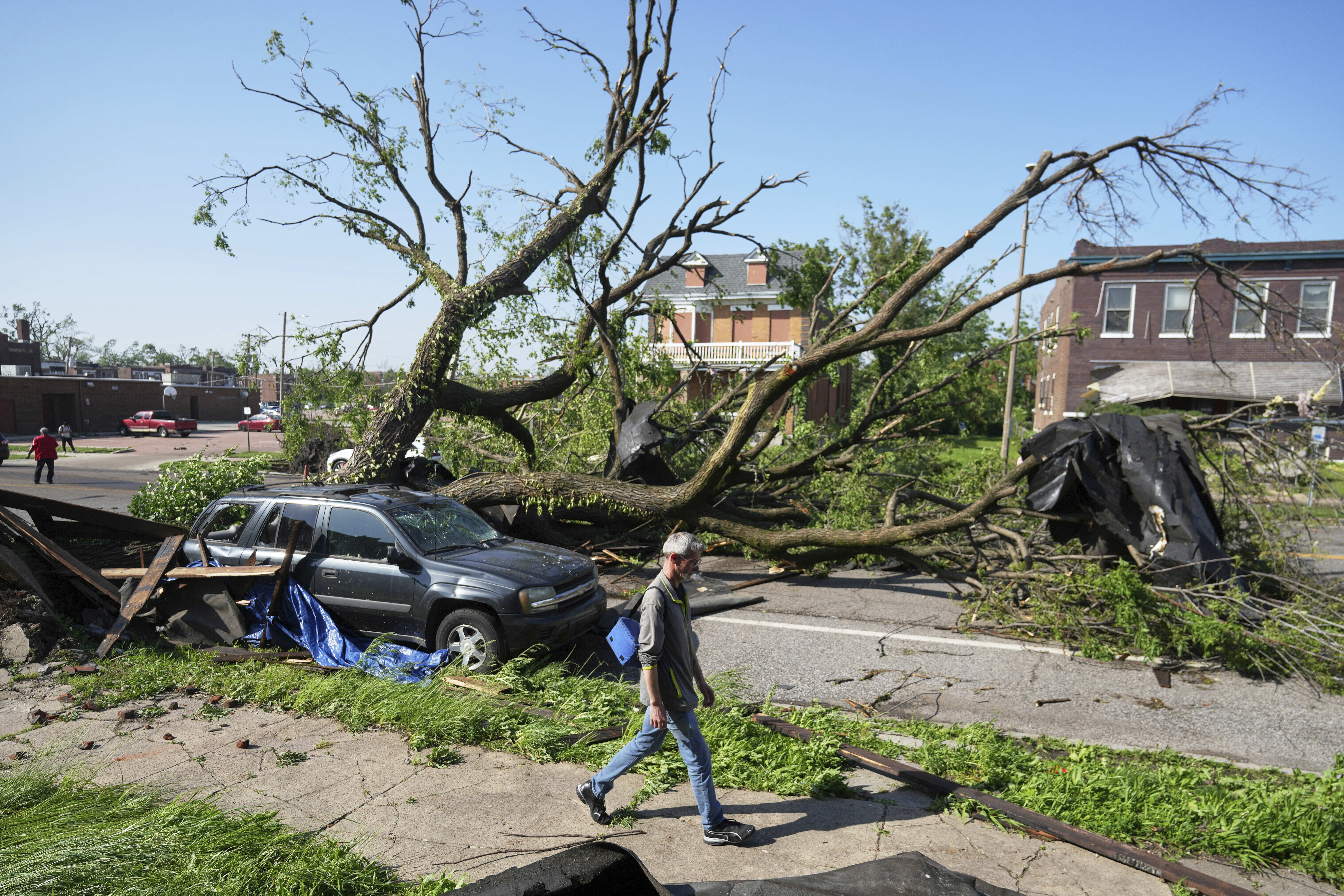 Eine Person geht an einem großen Baum vorbei, der eine Straße blockiert, nachdem ein heftiger Sturm in St. Louis durchgezogen ist.