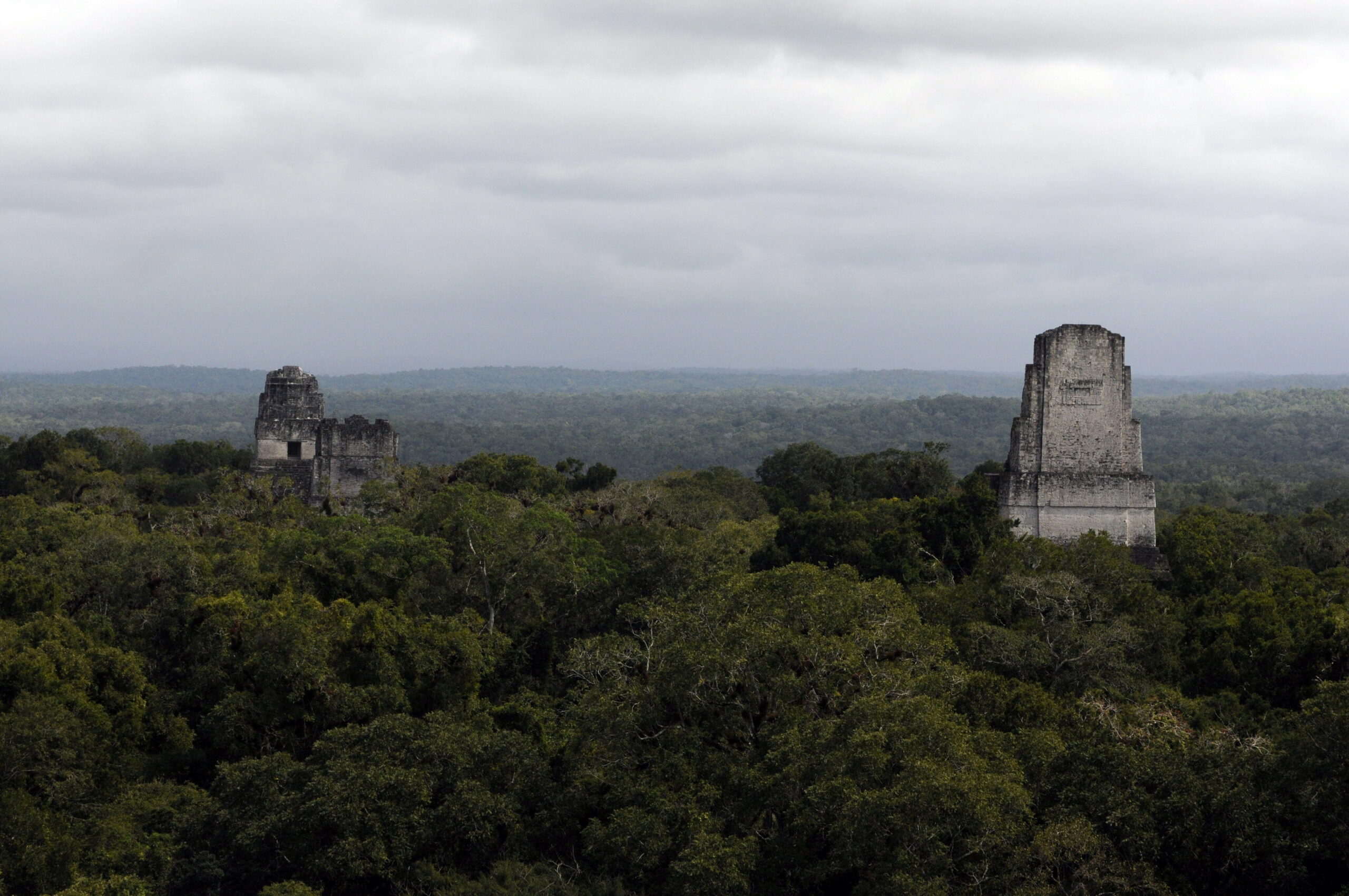 Alte Maya-Gebäude ragen über die Baumwipfel.