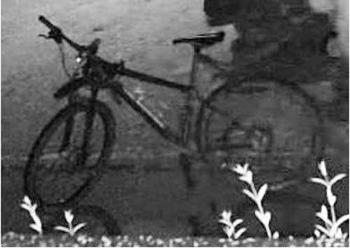 Autohasser zerkrazt in Hamburger Süden Pkw und flüchtet auf Fahrrad
