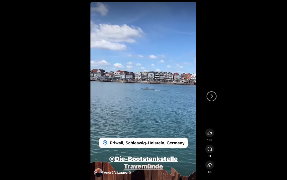 Ein rund sieben Meter langer Wal ist vor Travemünde gesichtet worden.