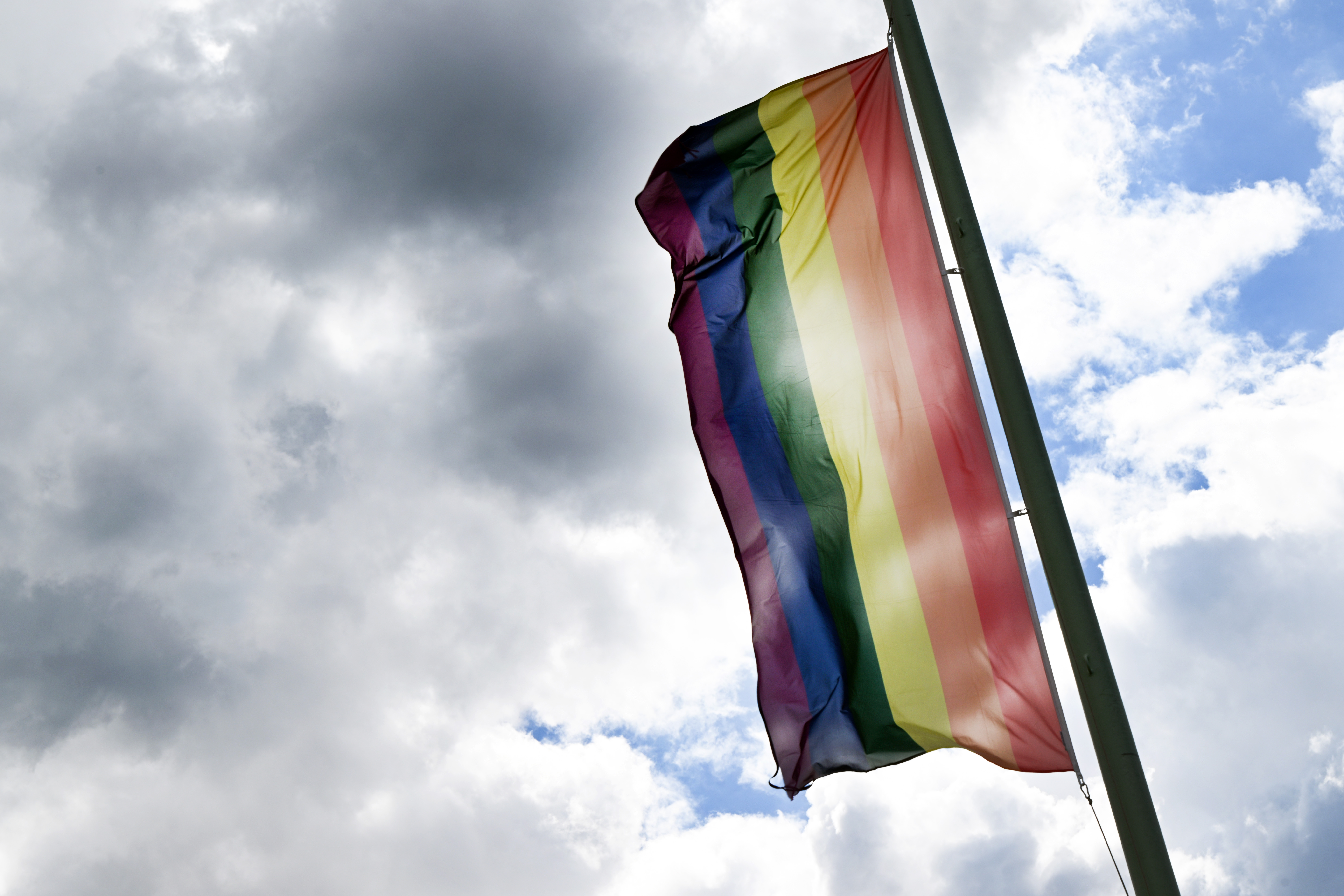 Eine Regenbogenflagge im Gegenlicht