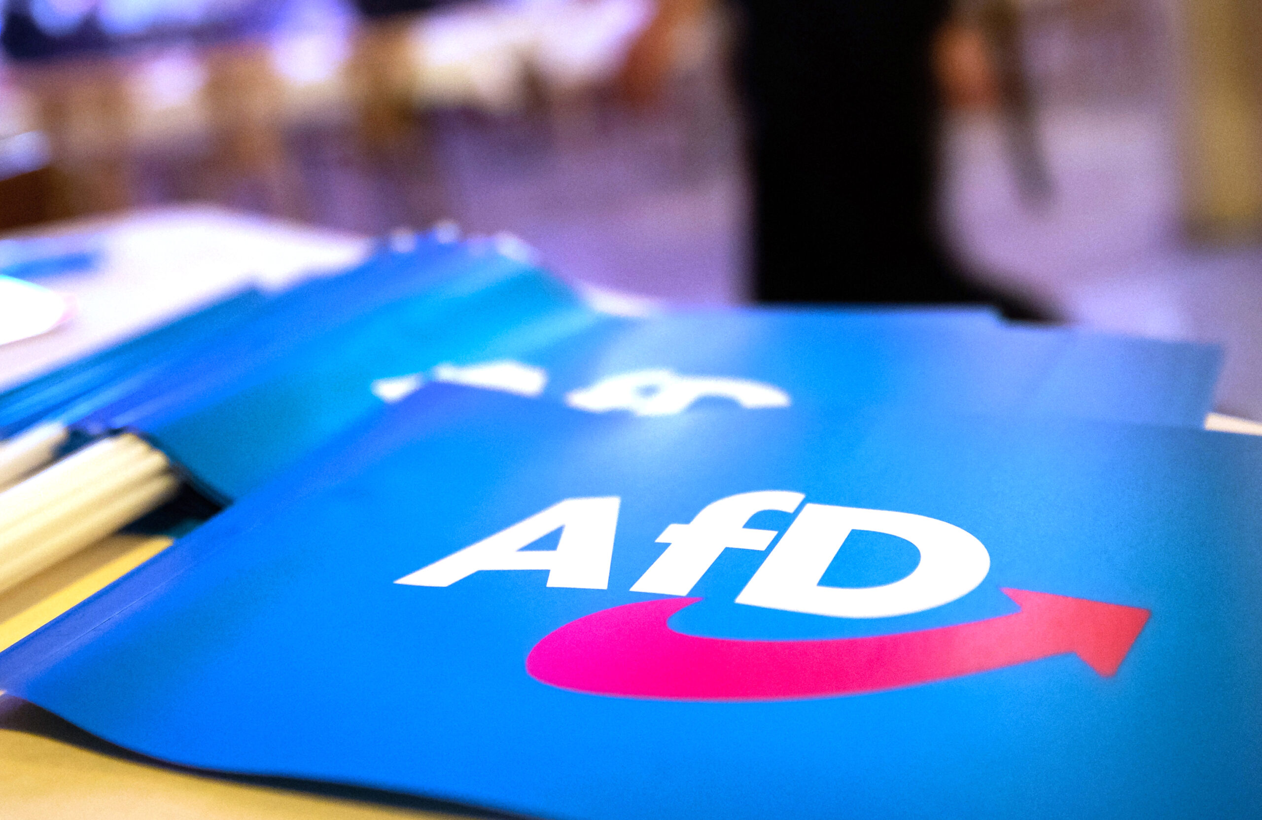 Fähnchen mit dem Logo der AfD liegen auf einem Tisch. (Symbolbild)