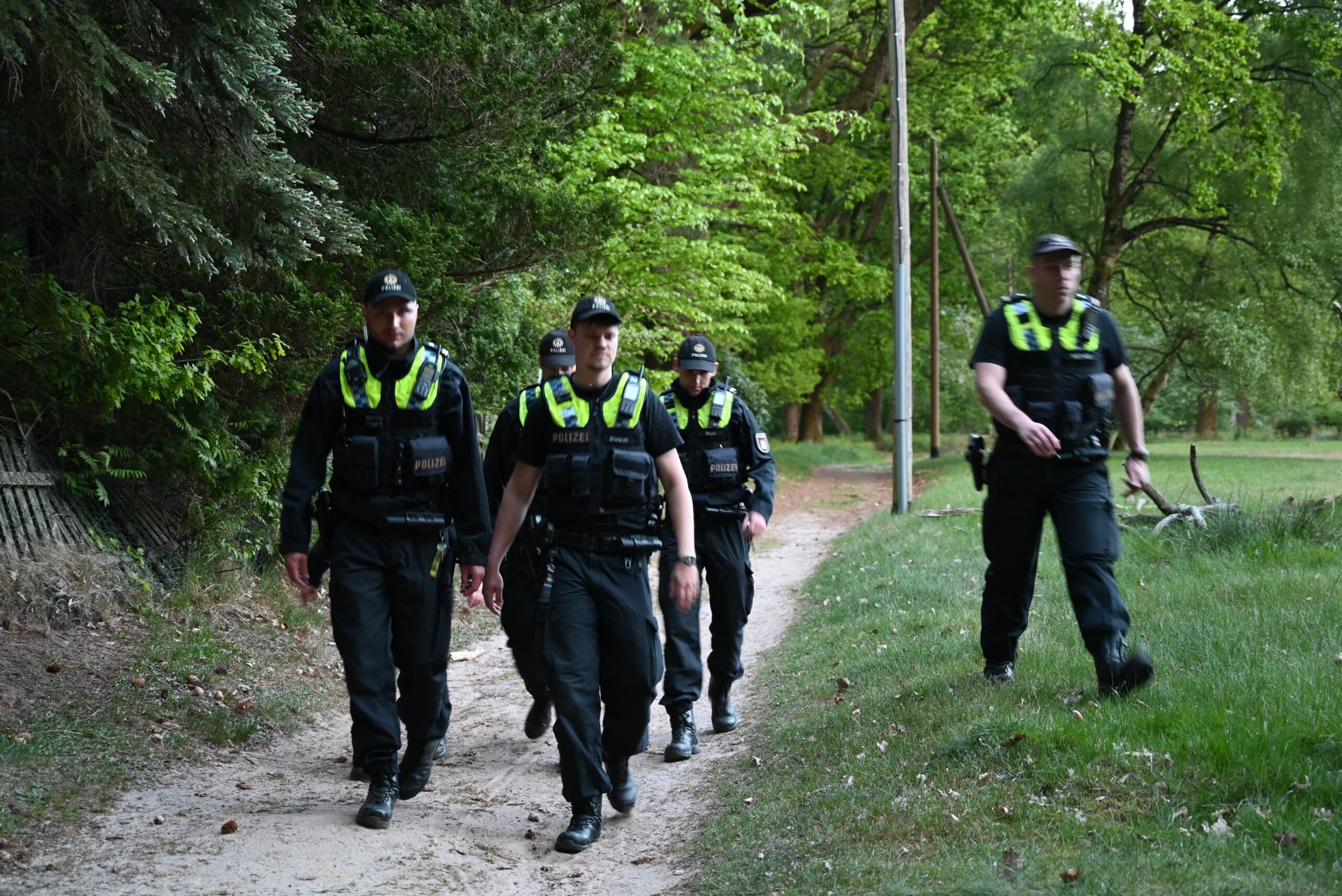 Polizisten durchsuchen ein Waldstück in der Fischbeker Heide in Hamburg nach menschlichen Überresten.