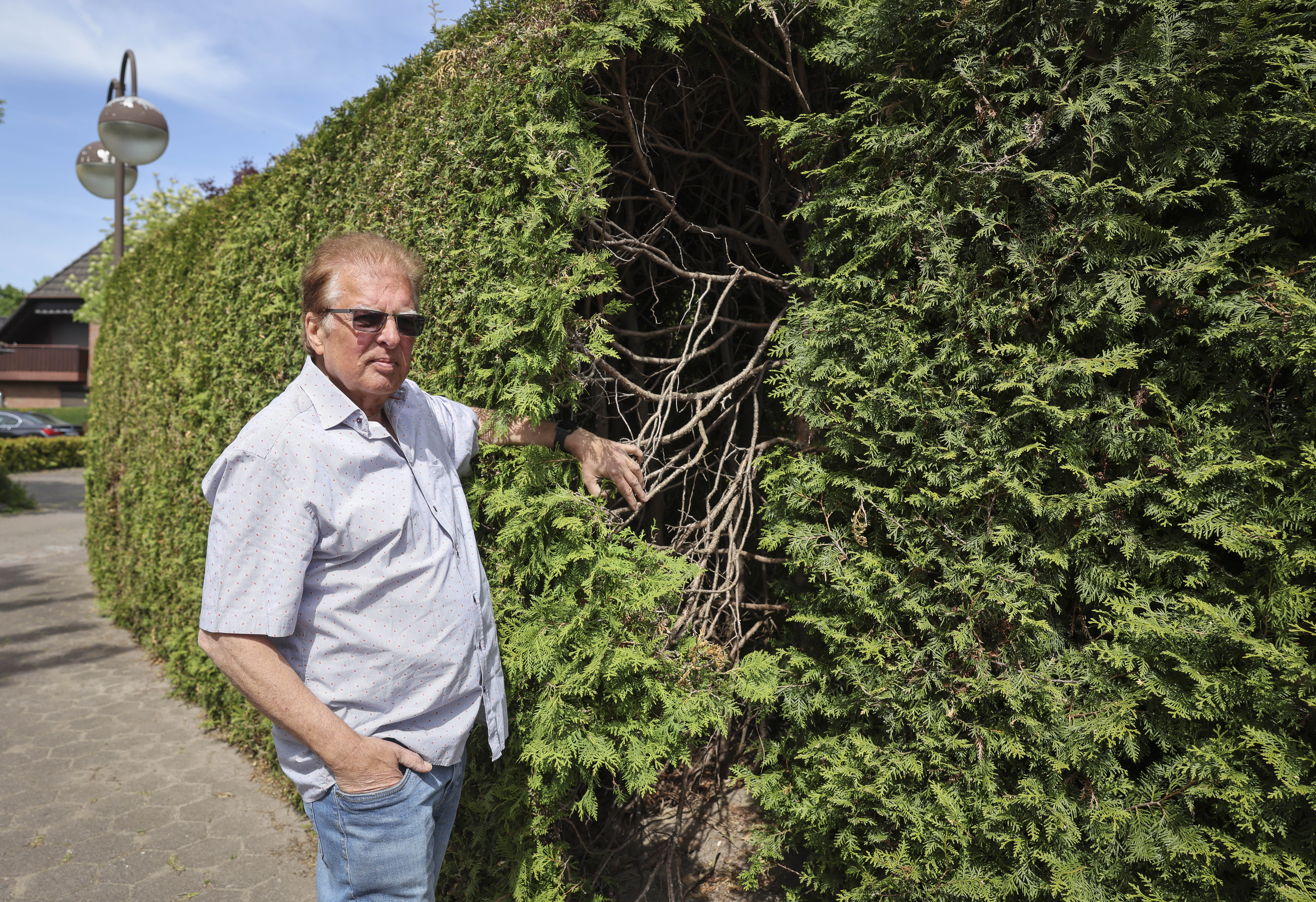 Rainer Grunert steht vor seiner 40-jährigen Thujahecke vor seinem Einfamilienhaus in einem verkehrsberuhigten Wohngebiet in Glinde.