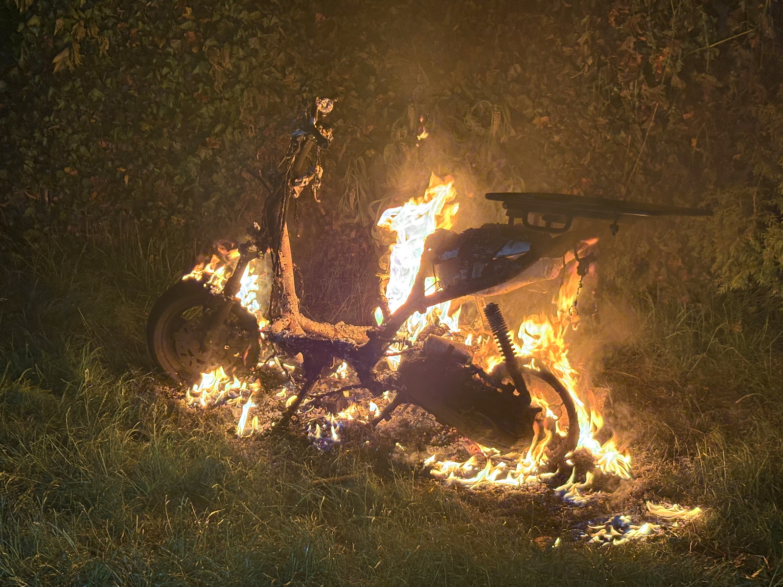 Ein Motorroller brennt im Kleingartenverein in Lokstedt