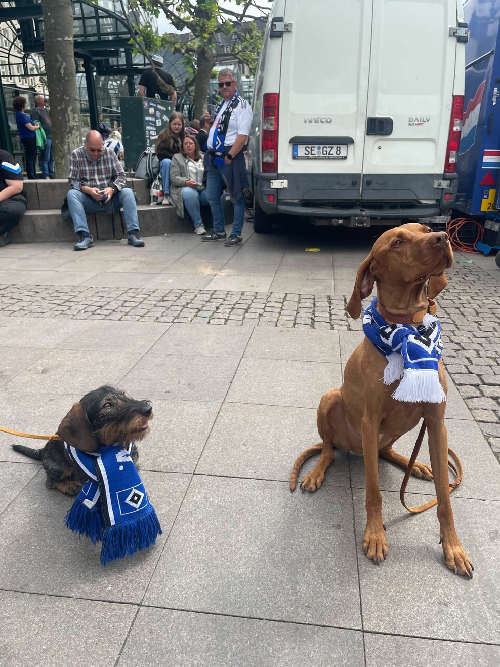 Auch Frieda (l.) und Lupo (9) sind bei der Aufstiegsparty dabei.