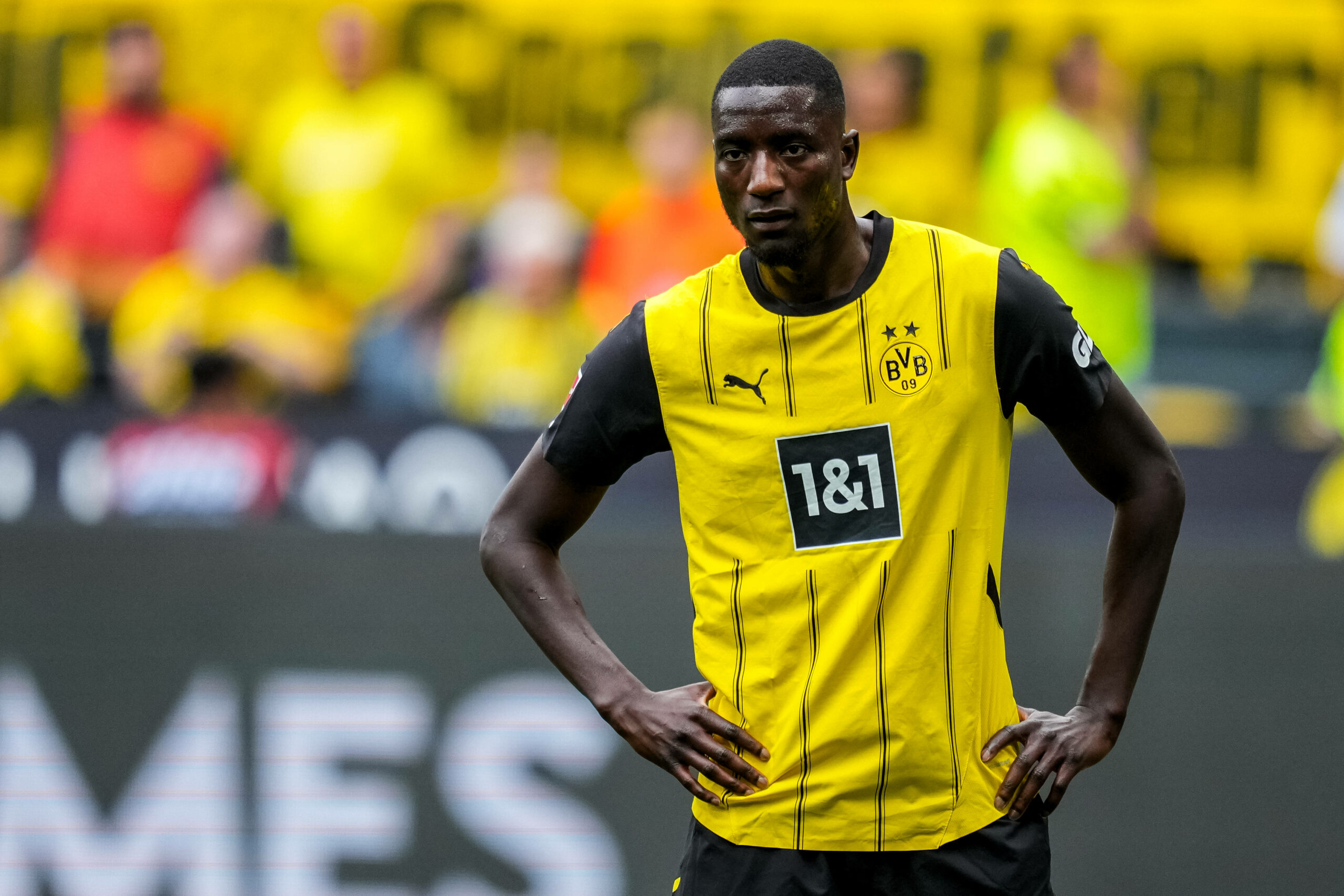 Serhou Guirassy im BVB-Trikot