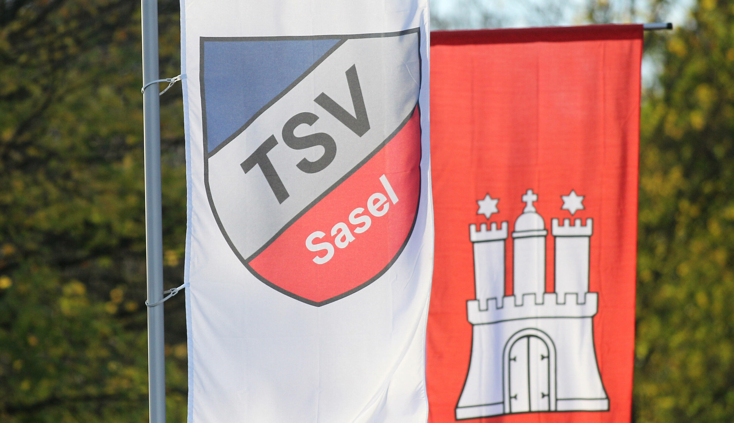 Die Fahne des TSV Sasel vor einer mit Hamburg-Wappen
