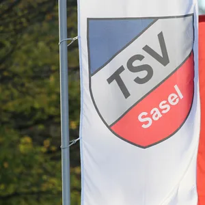 Die Fahne des TSV Sasel vor einer mit Hamburg-Wappen