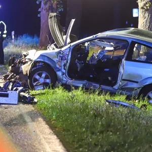 Der Ford Fiesta klebt völlig deformiert an einem Baum