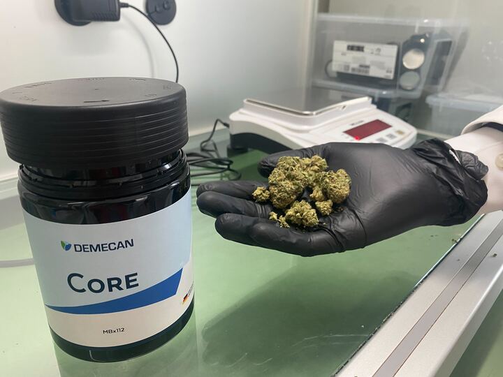 Ein Apotheker in Hamburg wiegt Cannabis-Blüten ab