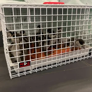 Bundespolizisten retteten den Entennachwuchs aus dem S-Bahn-Tunnel.